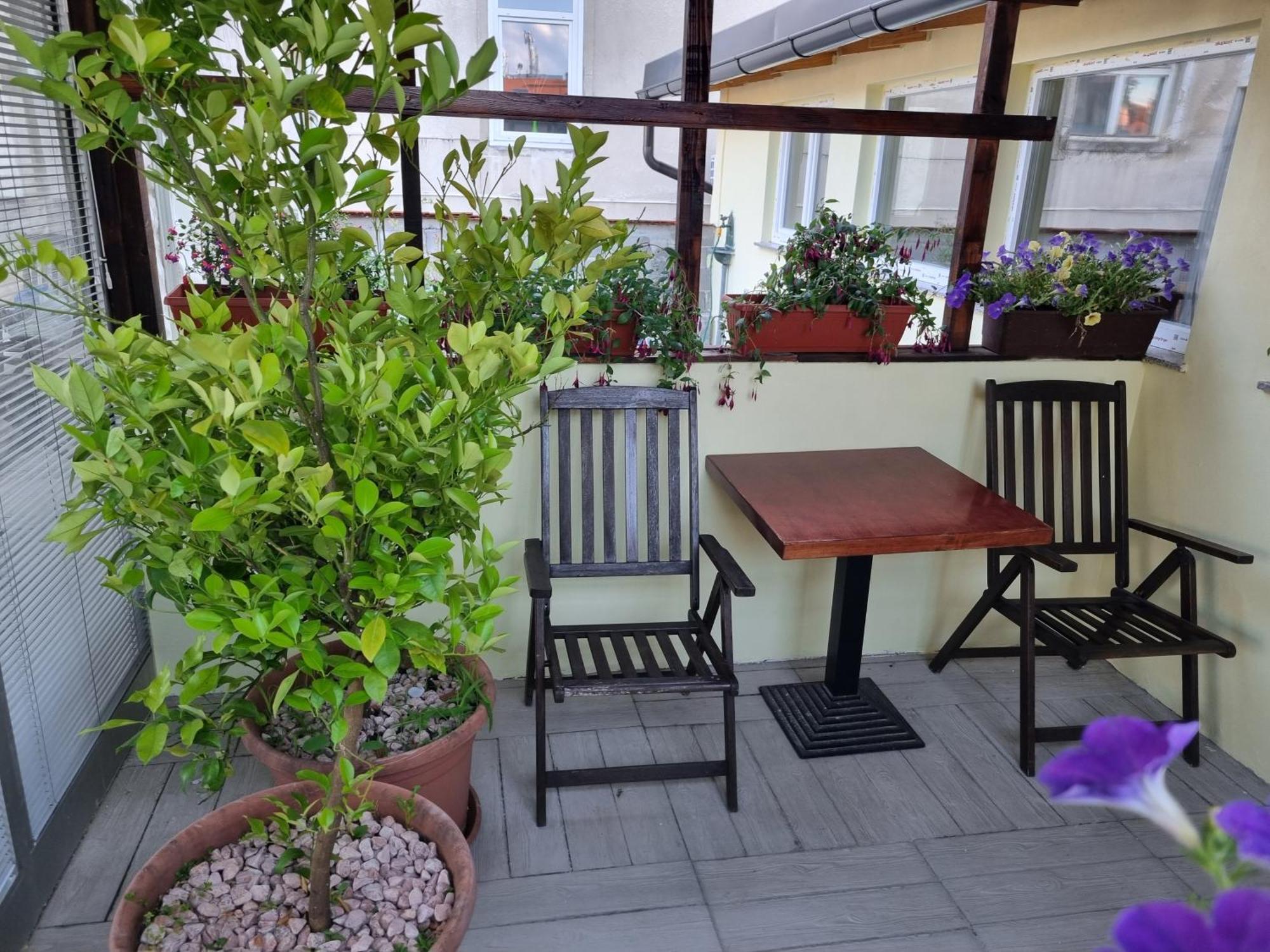 Apartments Fazarinc Celje Exterior foto